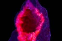 104 Fluorescent Minerals by Bill Henderson